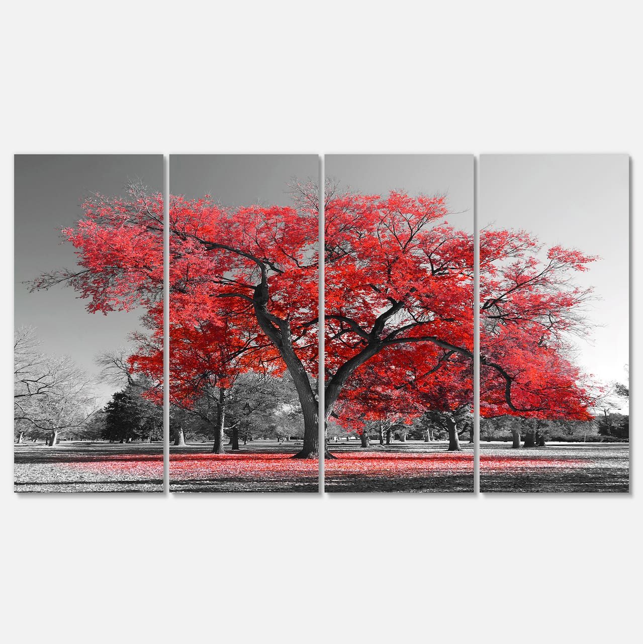 Designart - Big Red Tree on Foggy Day - Landscape Canvas Art Print